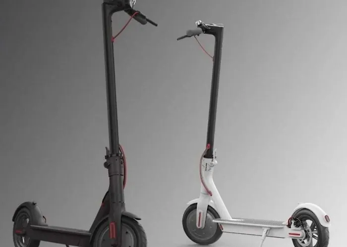 Saules Sveciu Namai Palanga